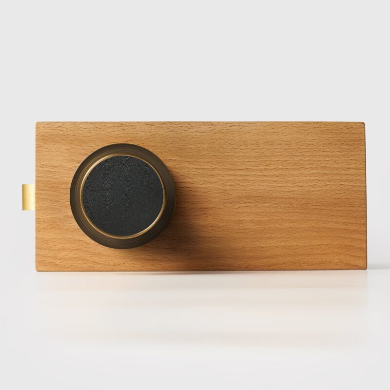 FERN Solid Brass & Leather Door Knob – Antique Brass