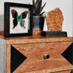 Pomos acrílicos y de concha de latón macizo TESTA