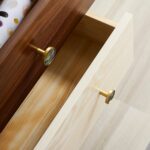 Pomos acrílicos y de concha de latón macizo TESTA